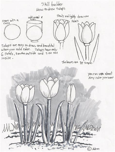 Drawing Lessons .